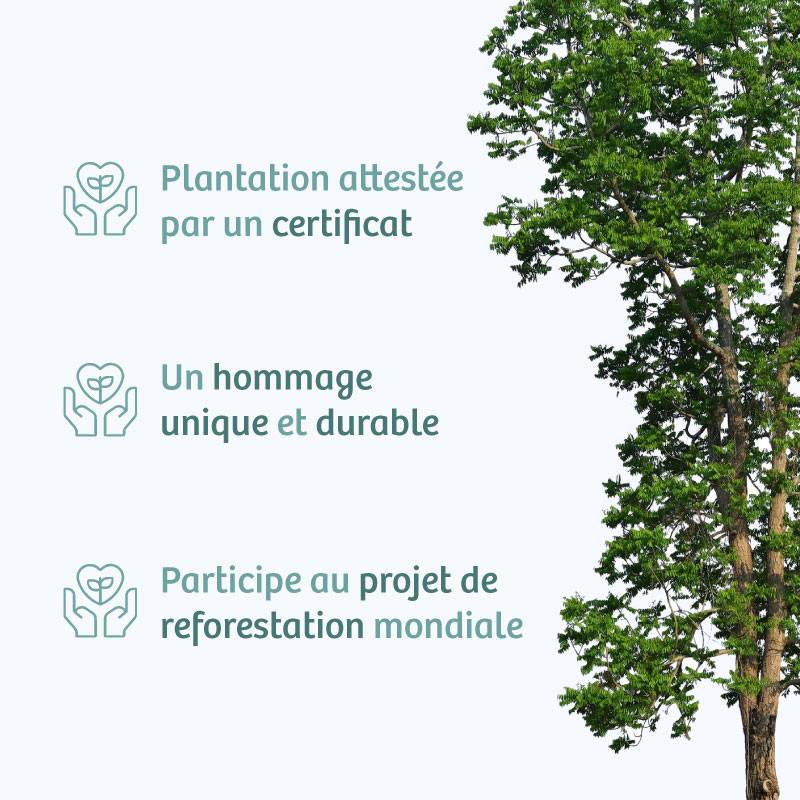Planter un arbre en hommage à Mme Jacqueline Bonnet Née DENIAU